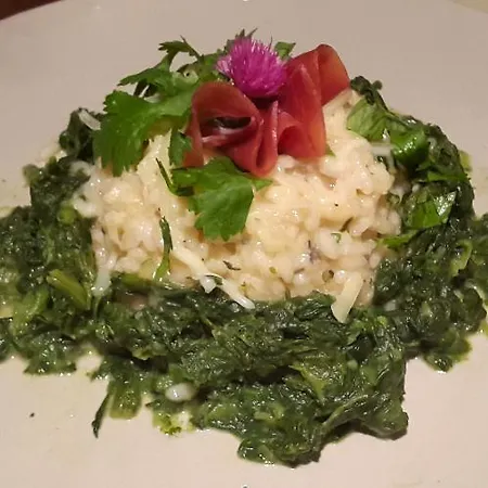 Le Castillou * Luc-sur-Aude